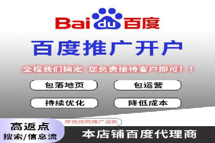 搜索引擎营销（SEM）成功案例详解